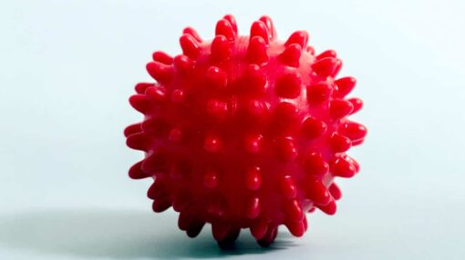 Bolinha Mordedor Anti-stress