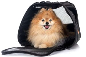 Bolsa Para Transporte De Pet