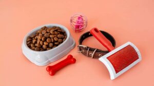Kit PetStar