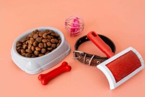 Kit PetStar