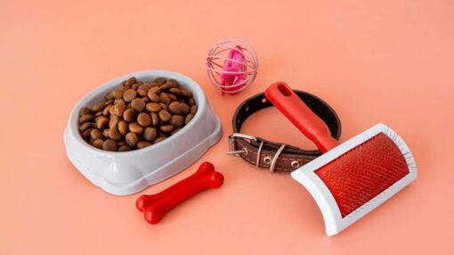 Kit PetStar